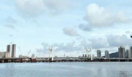 珠海前山河最新爆料,最新爆料揭示城市生态新篇章”